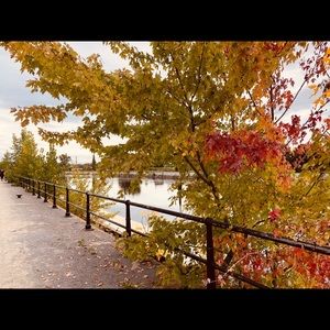 Meet your Posher, Fleur